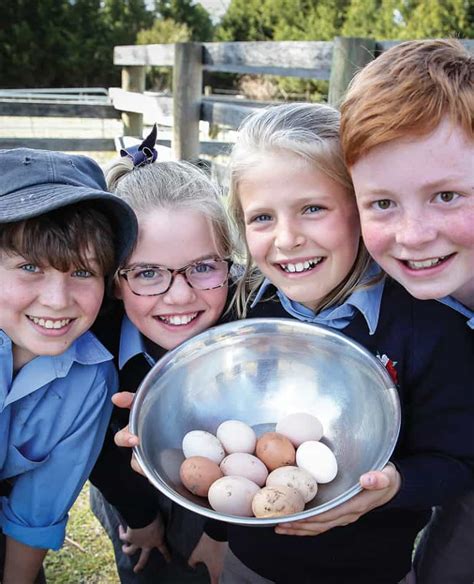 tudor house school moss vale|the king's school north parramatta.